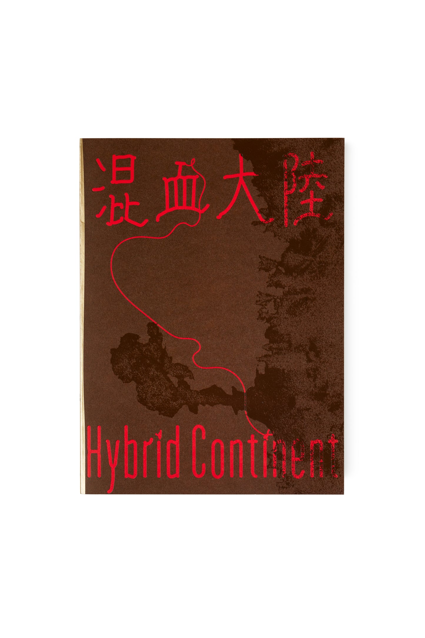 Sun Yibing: Hybrid Continent