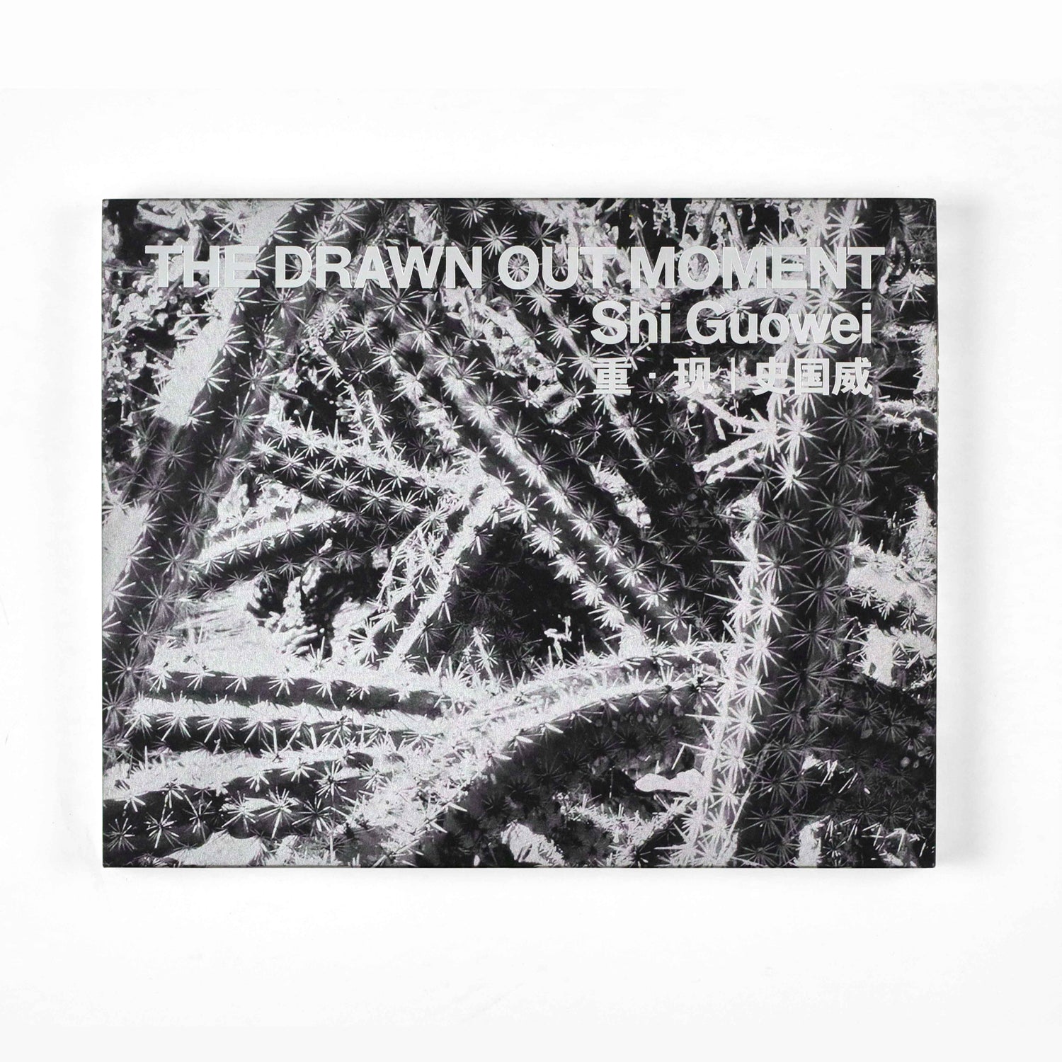 Shi Guowei ╱ The Drawn Out Moment