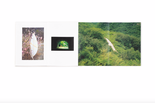 MouHoo  ╱  White Hole