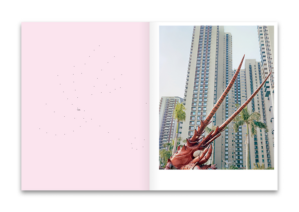 Ke Peng╱Salt Ponds ╱second edition
