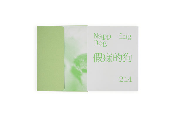 214╱Napping Dog