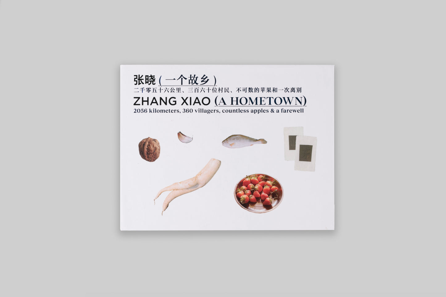 Zhang Xiao╱A Hometown╱Special Edition